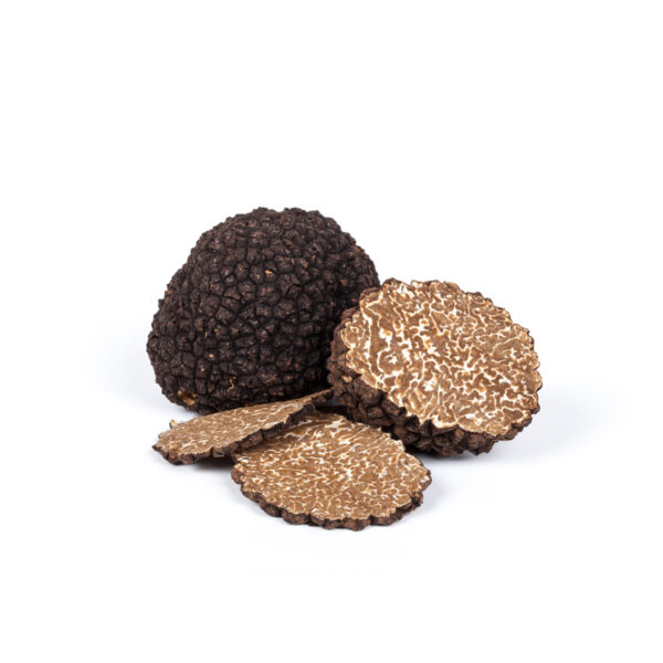 Schwarzer Sommertrüffel – Tuber aestivum