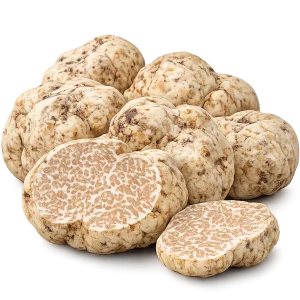 Tuber Borchii — Zimski bijeli tartuf (Bianchetto)