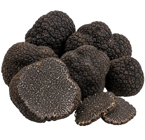 Tuber Melanosporum, Crni zimski plemeniti tartuf